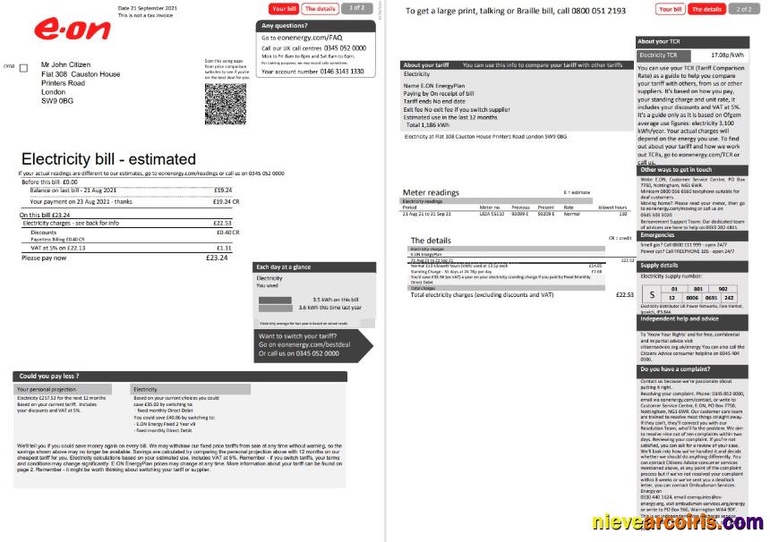 United Kingdom EON electricity utility bill 2 pages, version 1